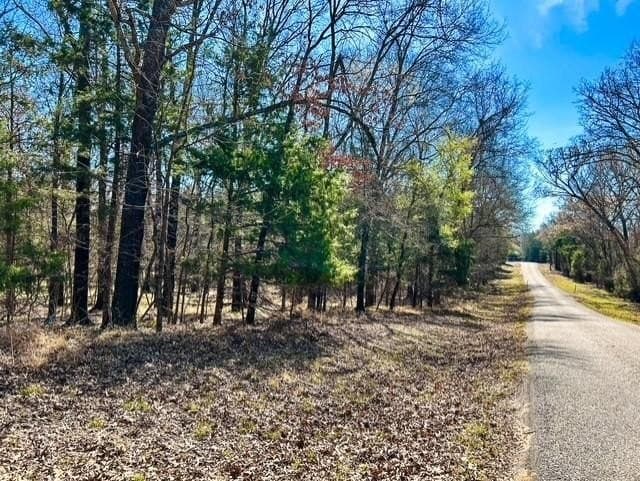 24.17 acres in Rains County - photo 9