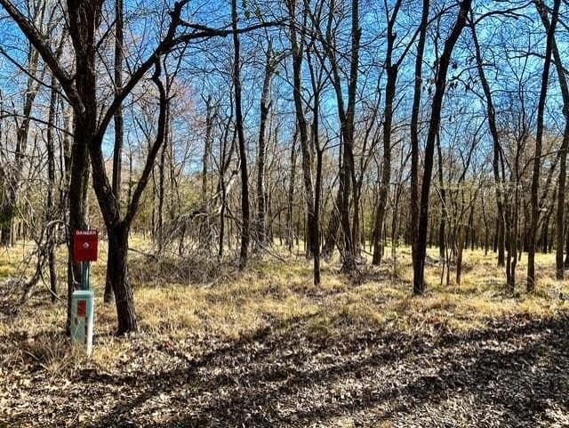 24.17 acres in Rains County - photo 10