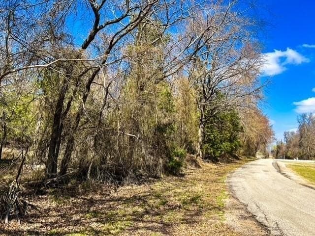 24.17 acres in Rains County - photo 15
