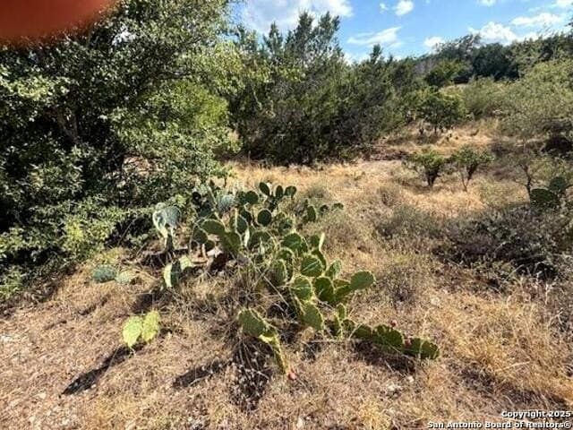 2.07 acres in Comal County - photo 13