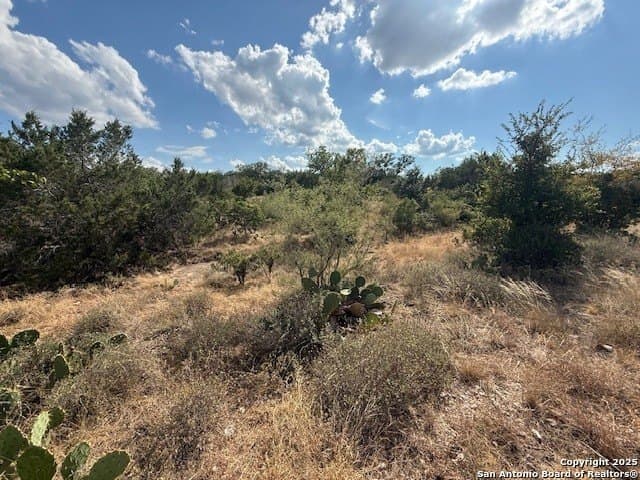 2.07 acres in Comal County - photo 14