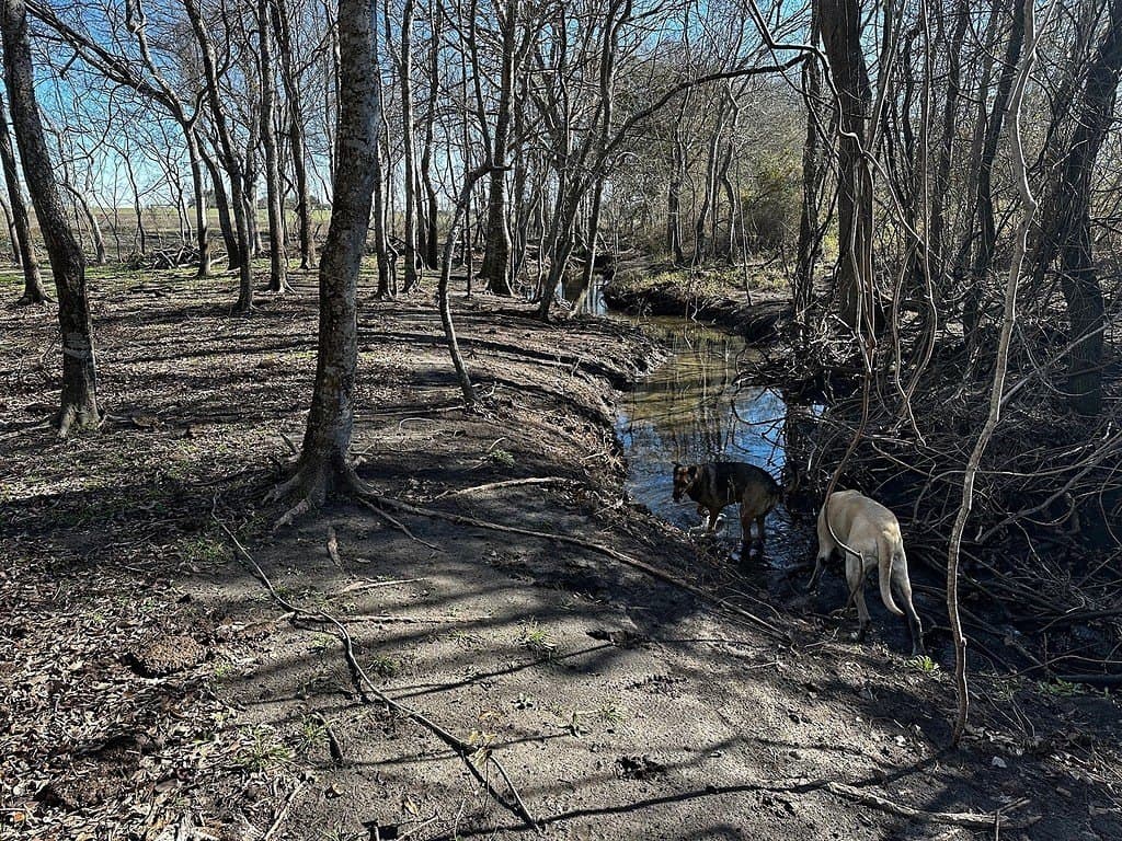 42 acres in Washington County - photo 26