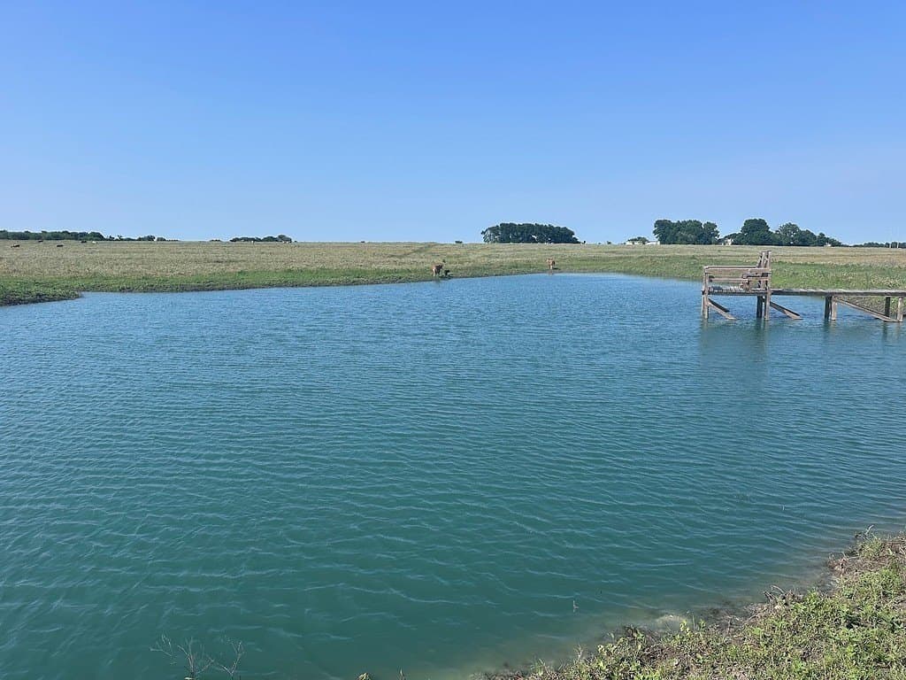 42 acres in Washington County - photo 9