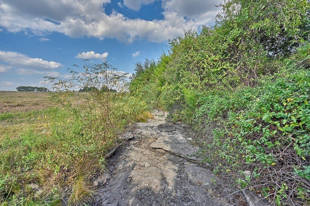 42 acres in Washington County - photo 15