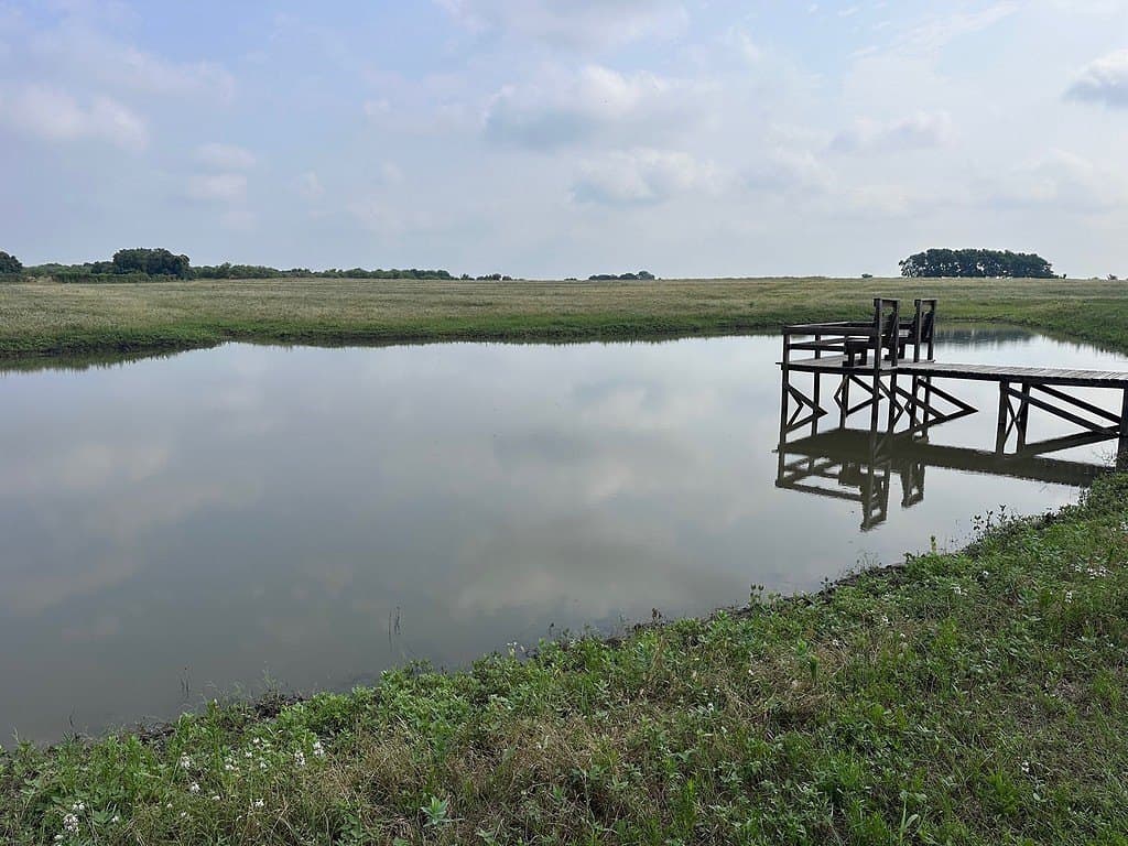 42 acres in Washington County - photo 17
