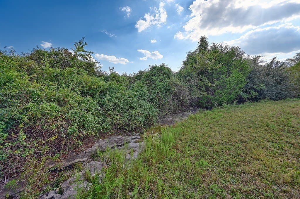 42 acres in Washington County - photo 14
