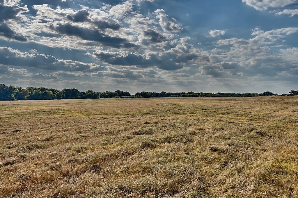 42 acres in Washington County - photo 25