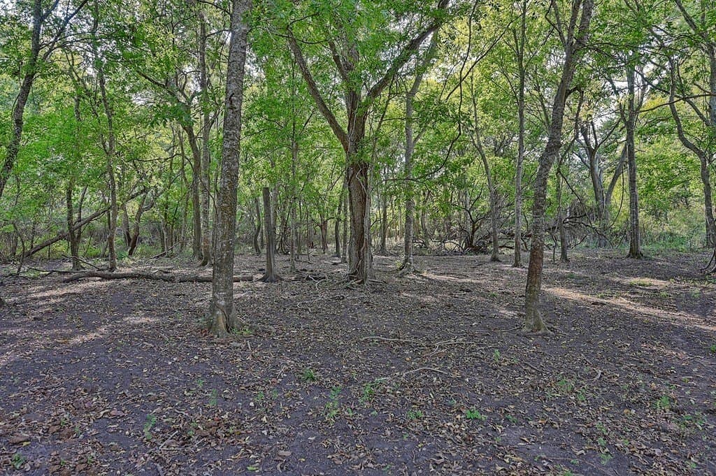 42 acres in Washington County - photo 7