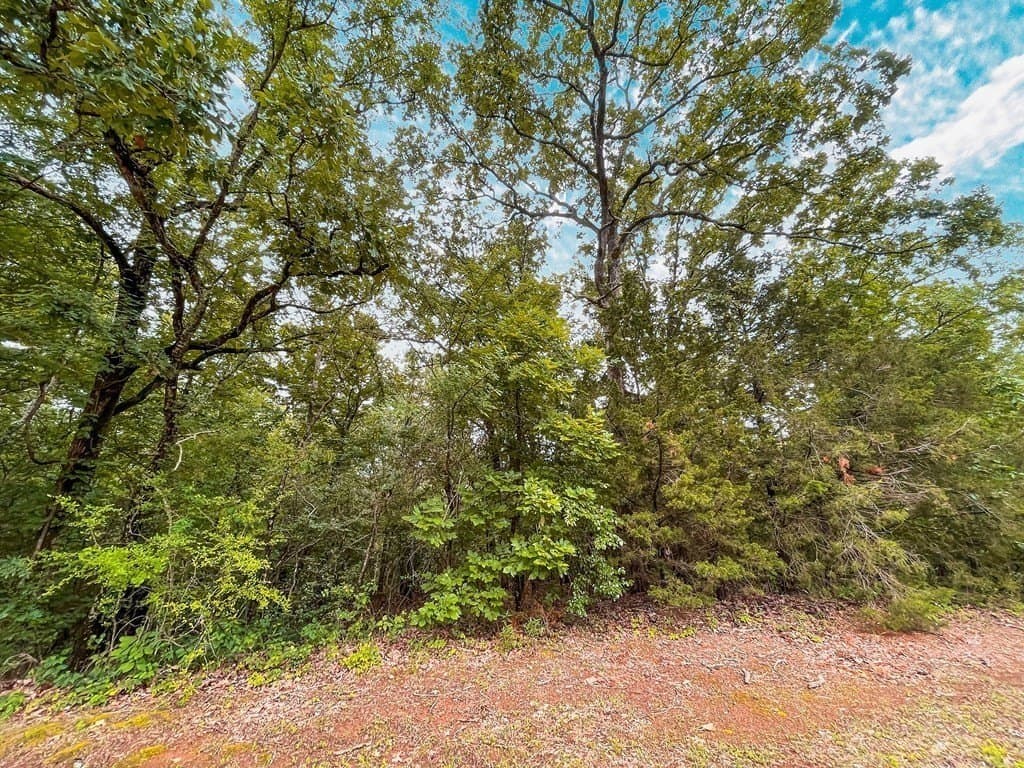 1.5 acres in ANDERSON County - photo 5