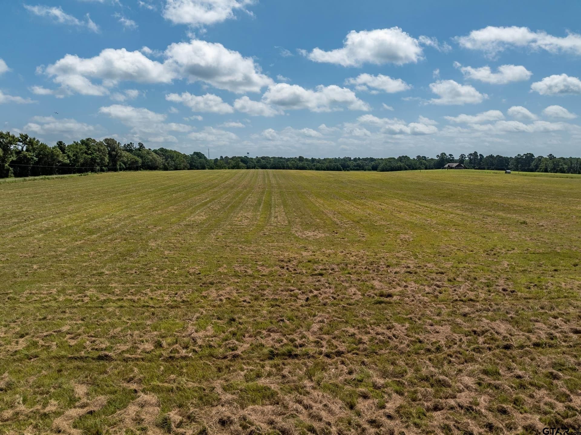 25.09 acres in Anderson County - photo 6