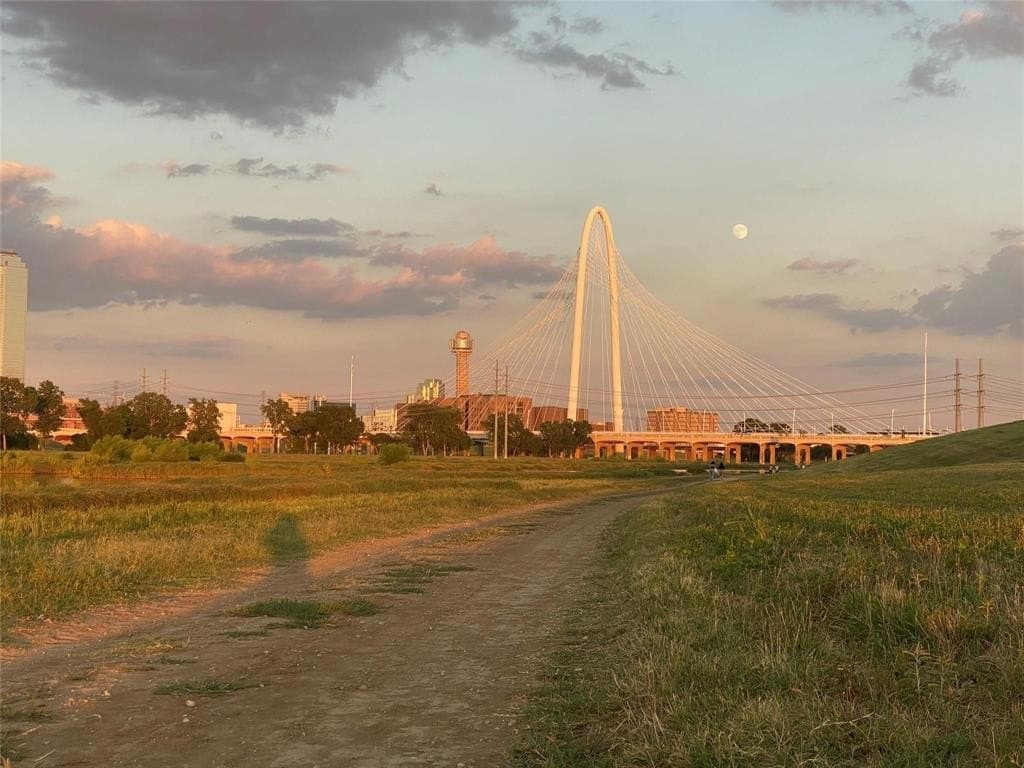0.15 acres in Dallas County - photo 9