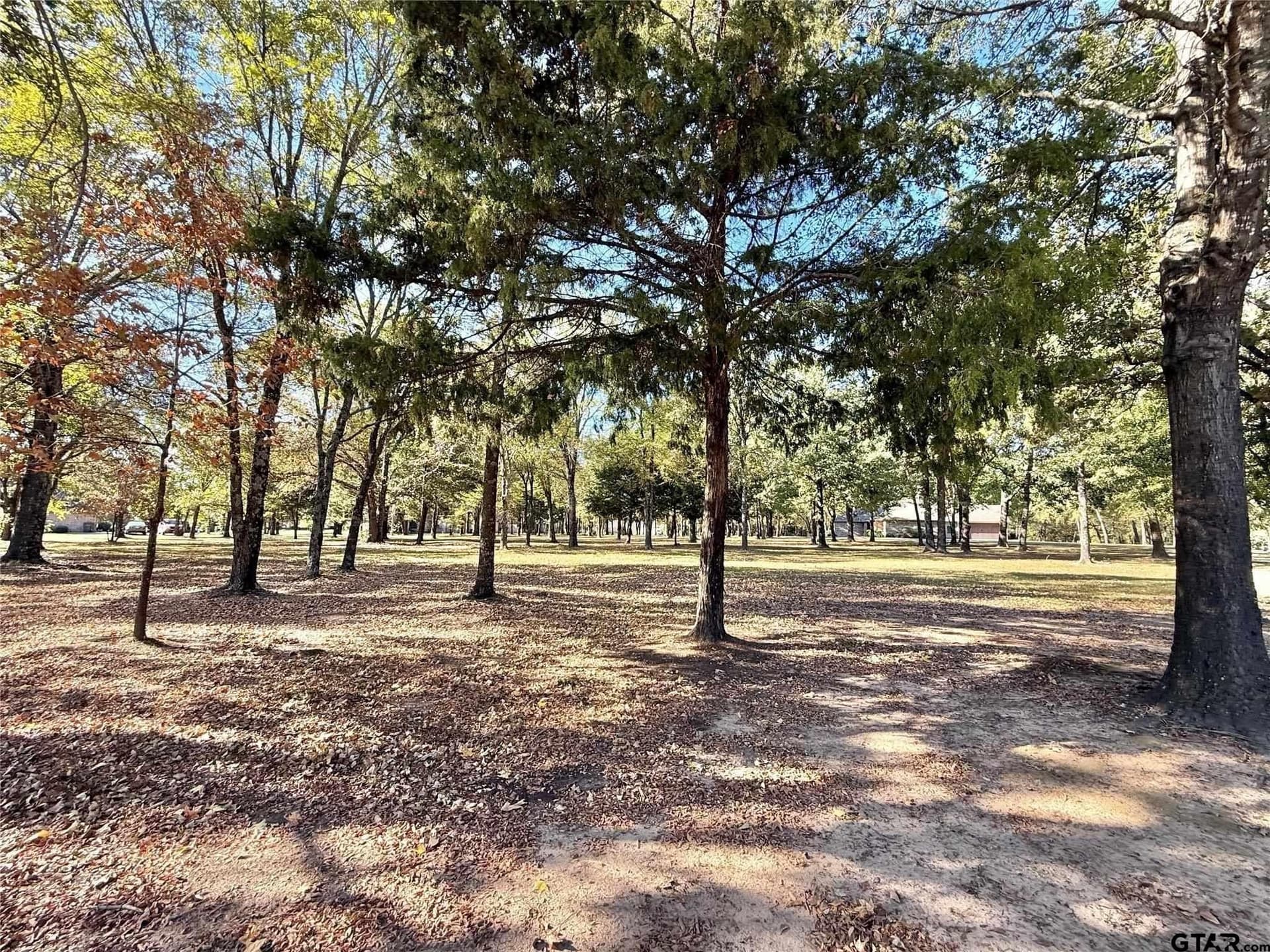 0.66 acres in Wood County - photo 8