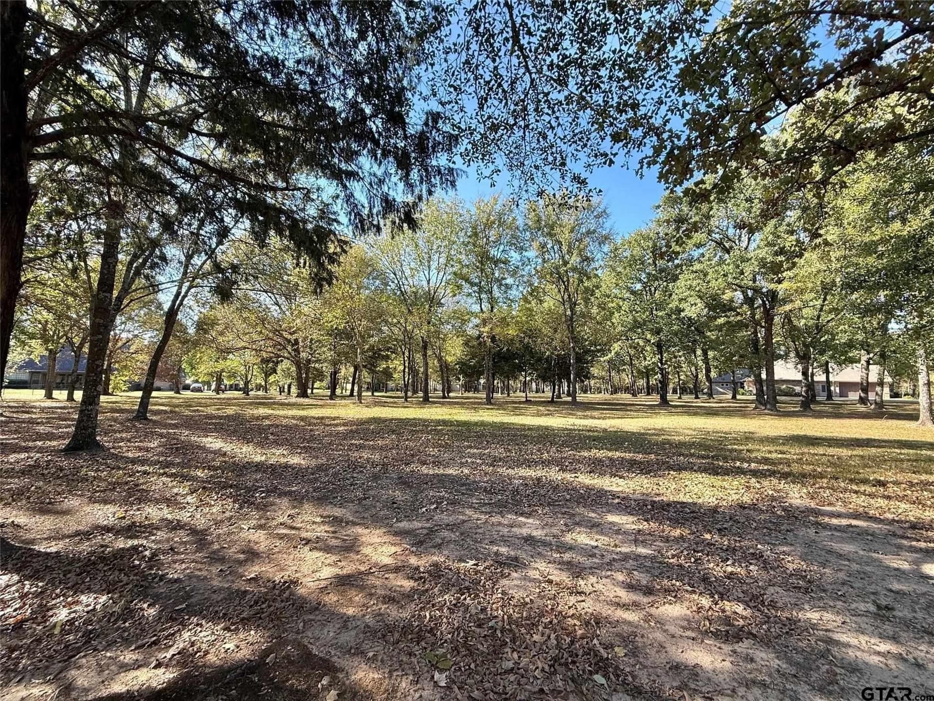0.66 acres in Wood County - photo 7
