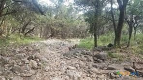 1.3 acres in Comal County - photo 3