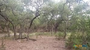 1.3 acres in Comal County - photo 2
