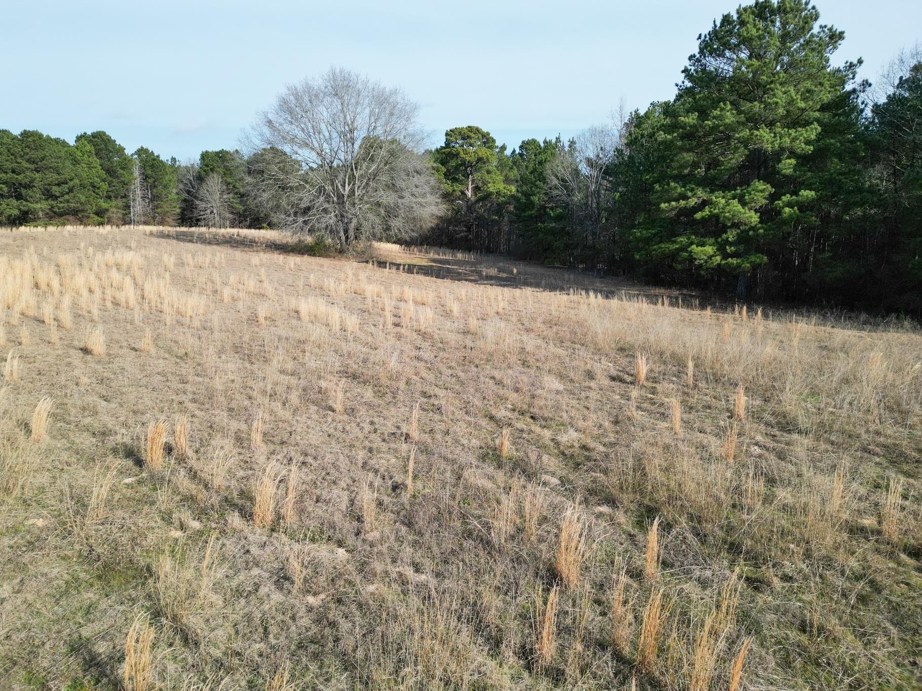 7.75 acres in Harrison County - photo 7
