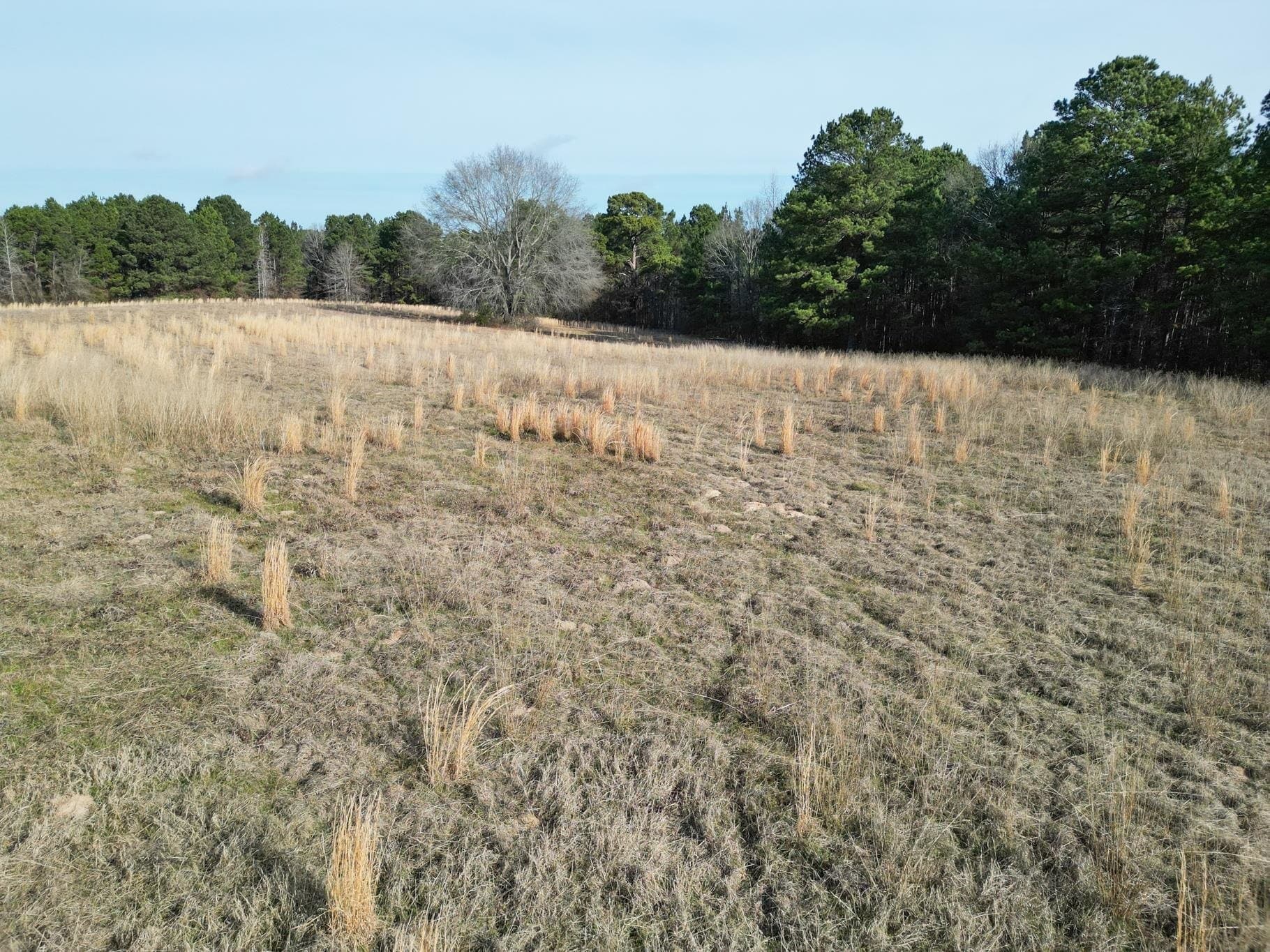 7.75 acres in Harrison County - photo 6