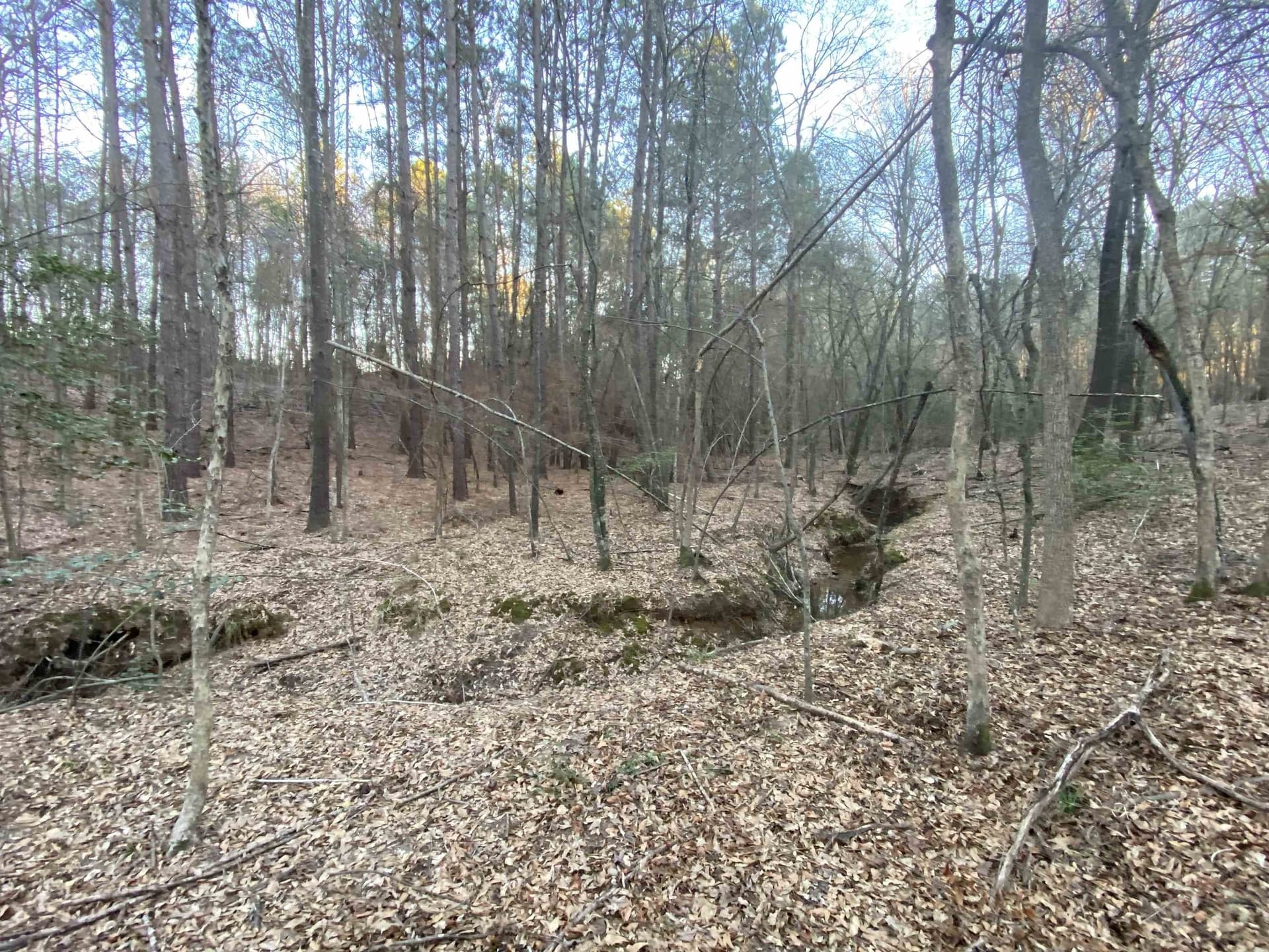7.75 acres in Harrison County - photo 16