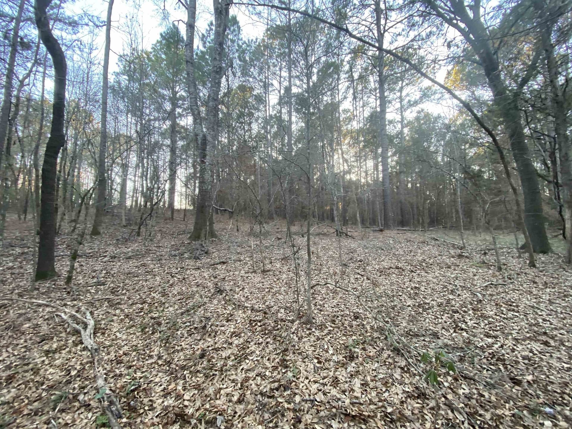 7.75 acres in Harrison County - photo 14