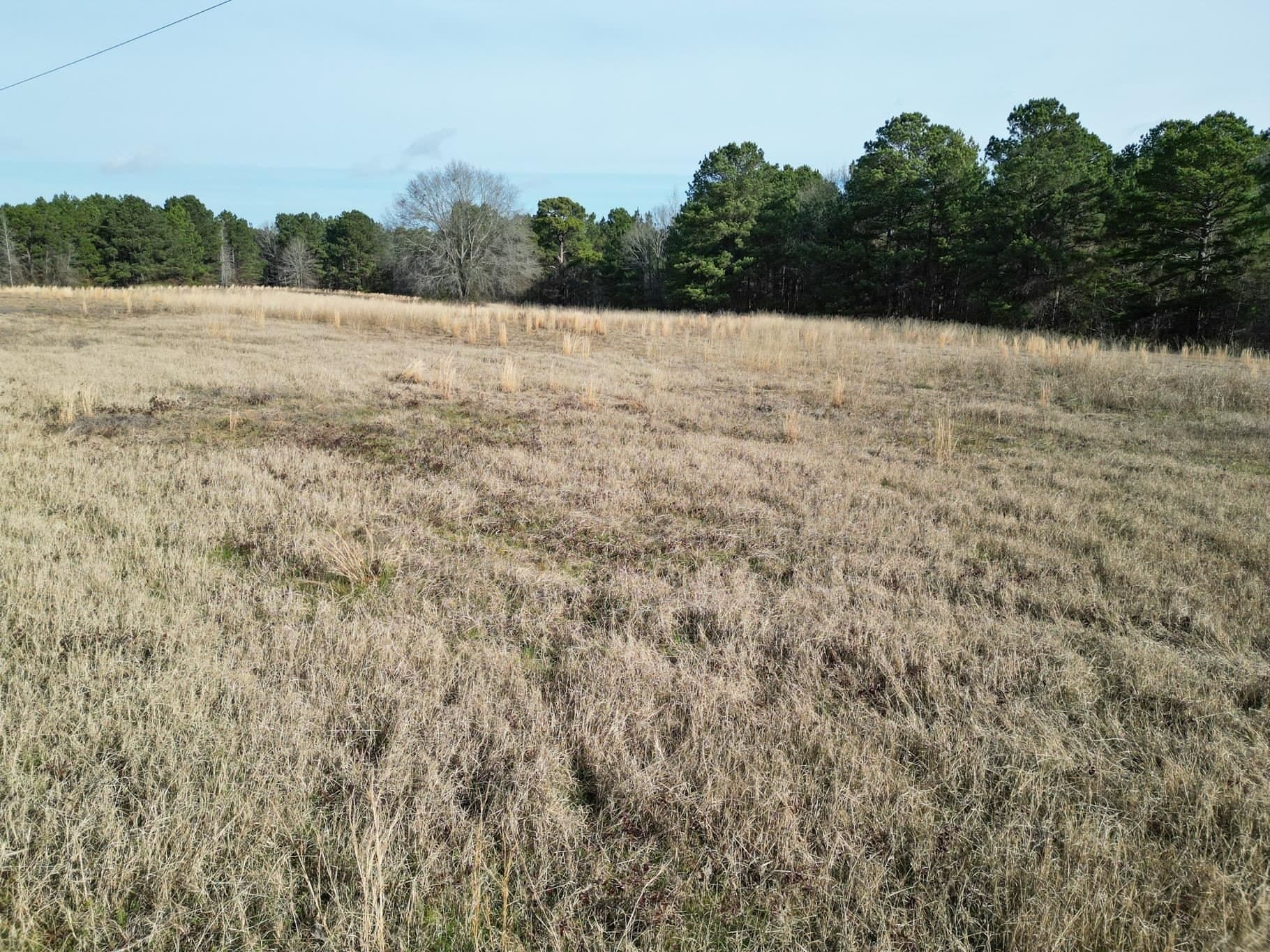 7.75 acres in Harrison County - photo 5