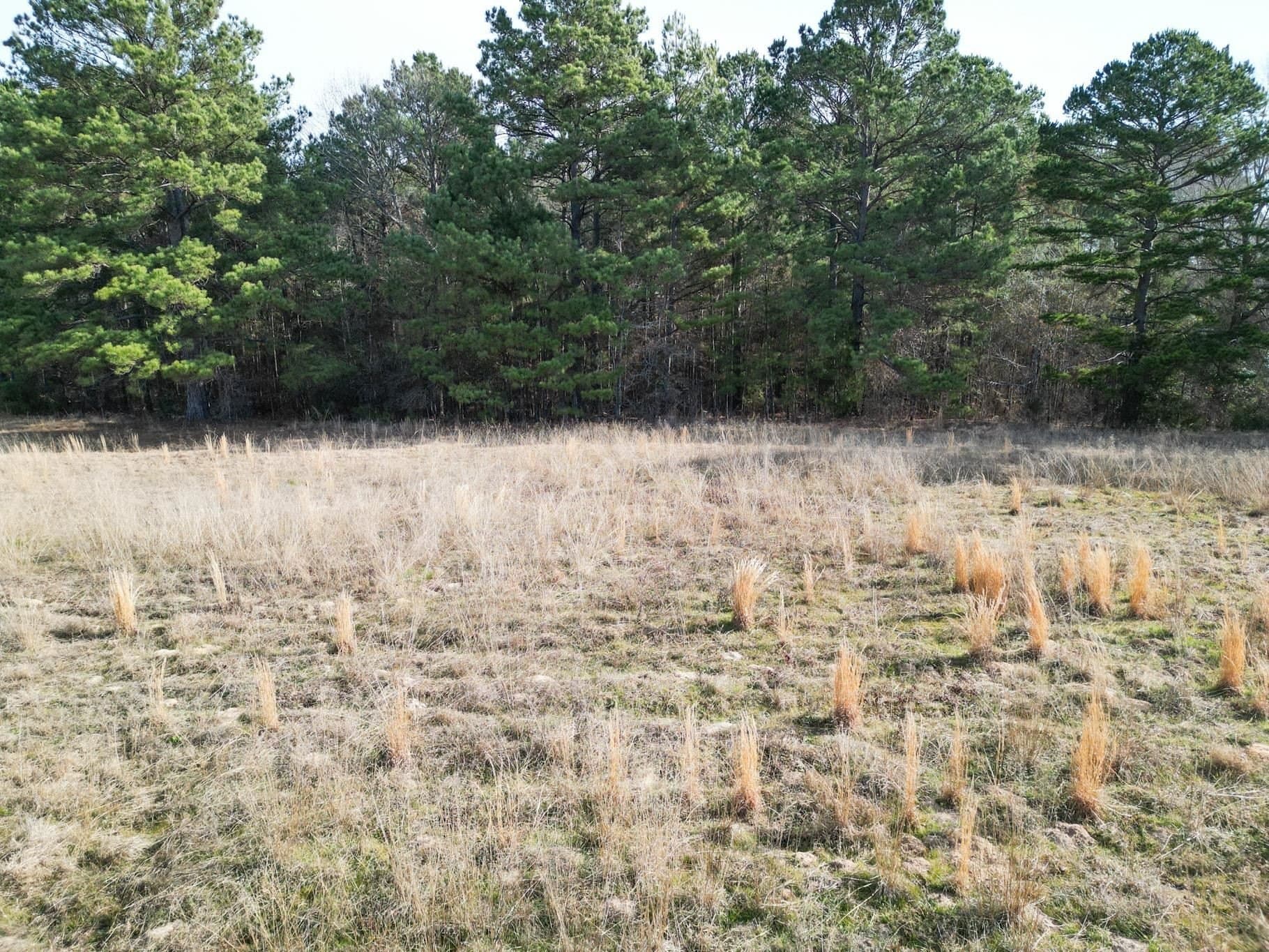 7.75 acres in Harrison County - photo 8