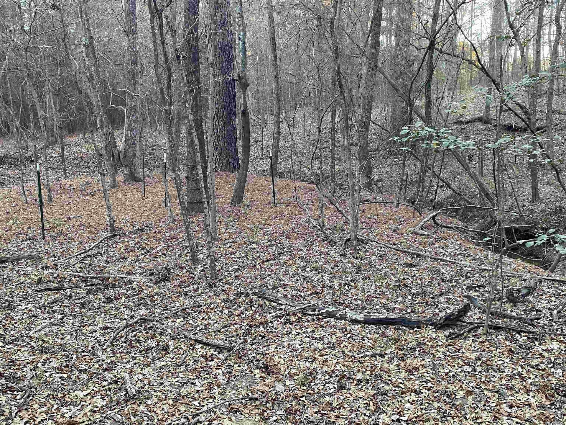 7.75 acres in Harrison County - photo 15