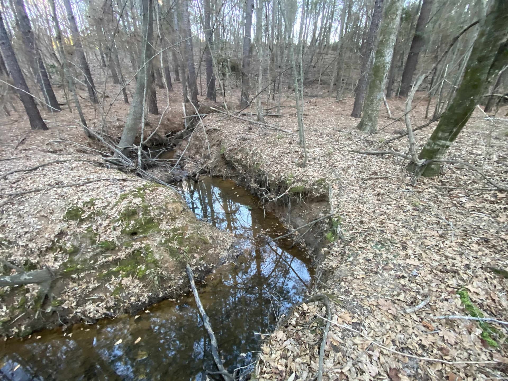 7.75 acres in Harrison County - photo 18