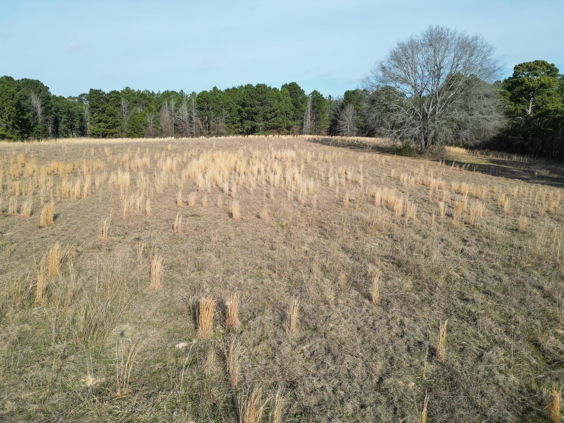 7.75 acres in Harrison County - photo 11