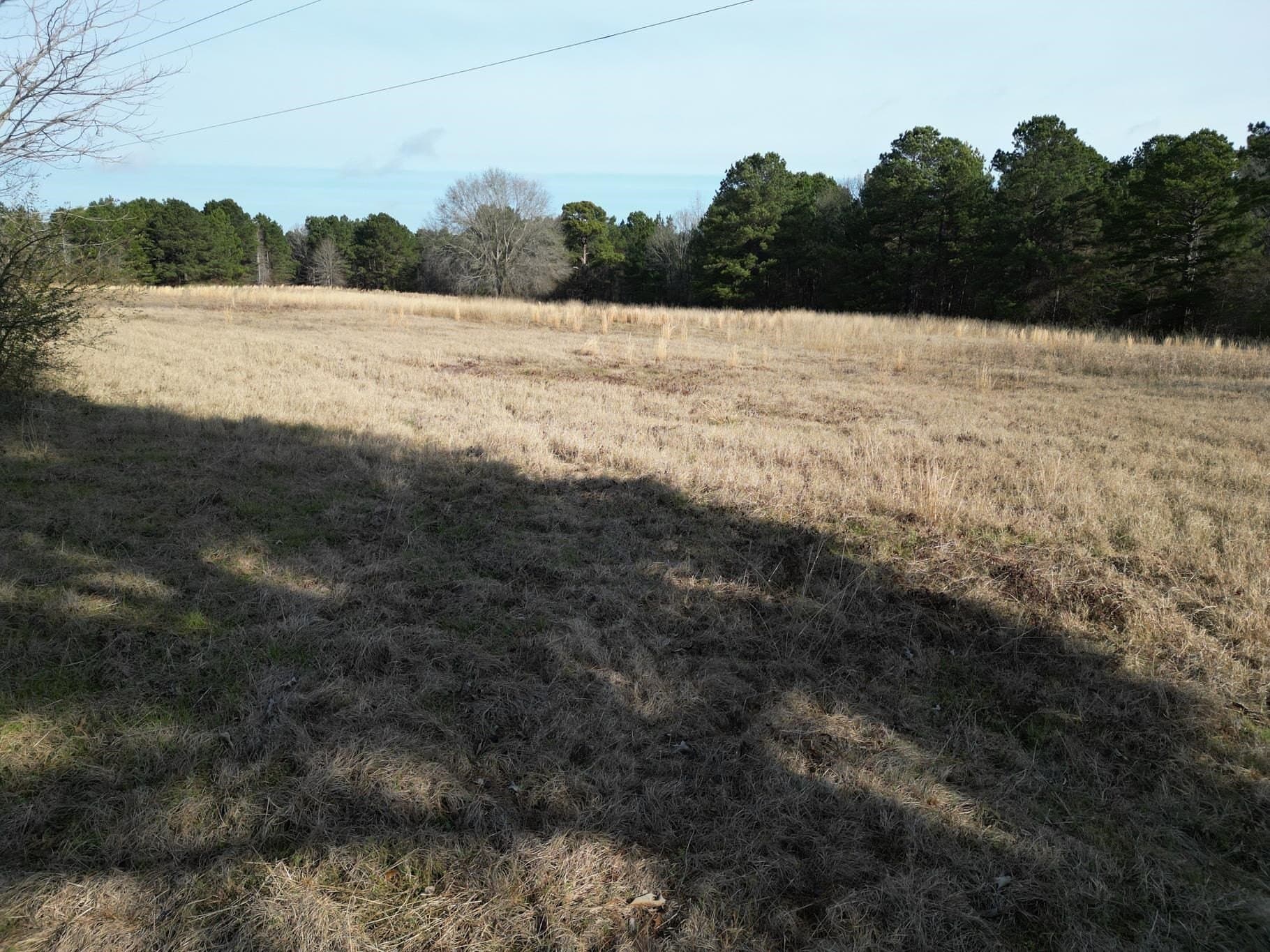 7.75 acres in Harrison County - photo 4
