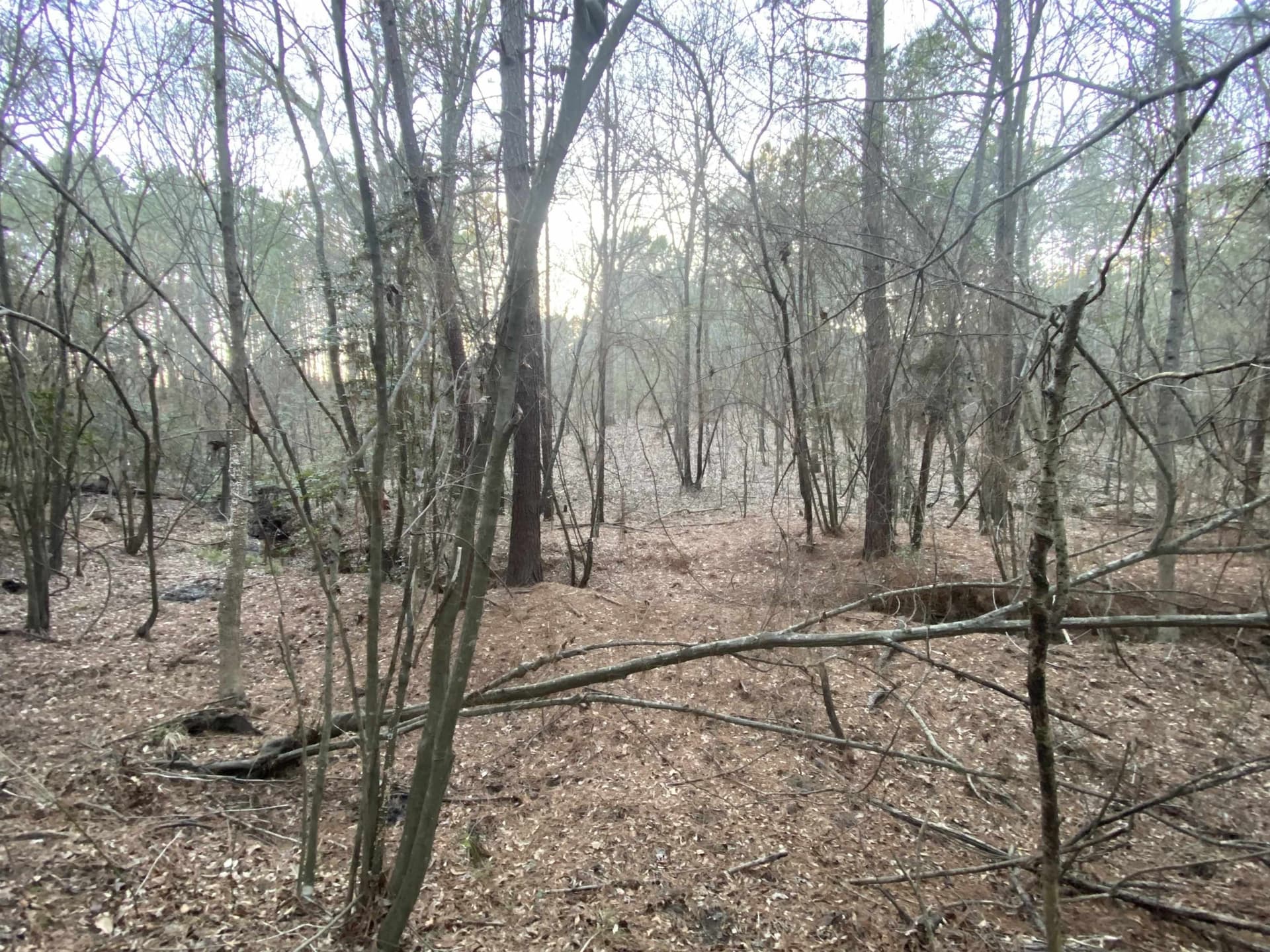7.75 acres in Harrison County - photo 19