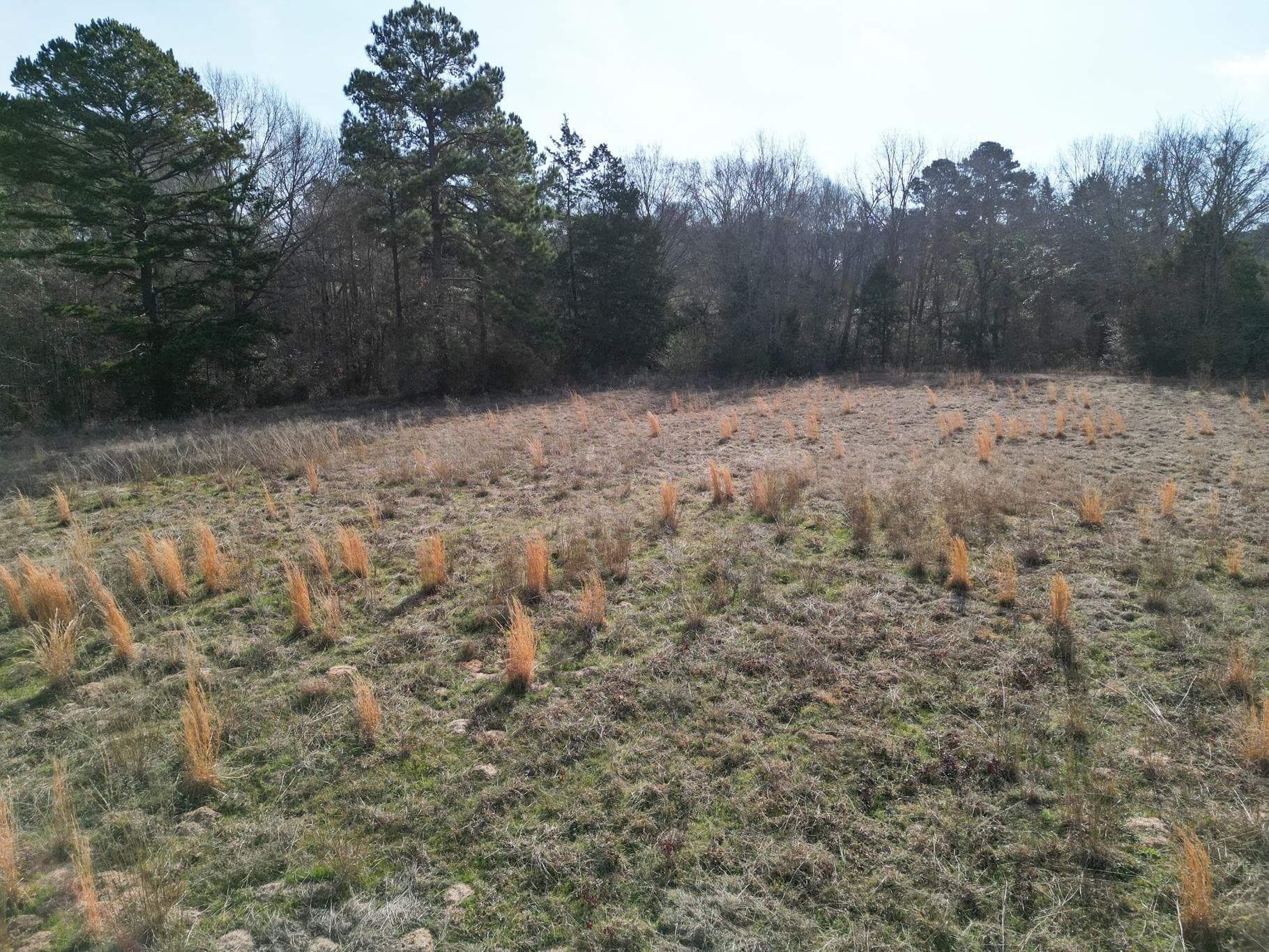 7.75 acres in Harrison County - photo 9