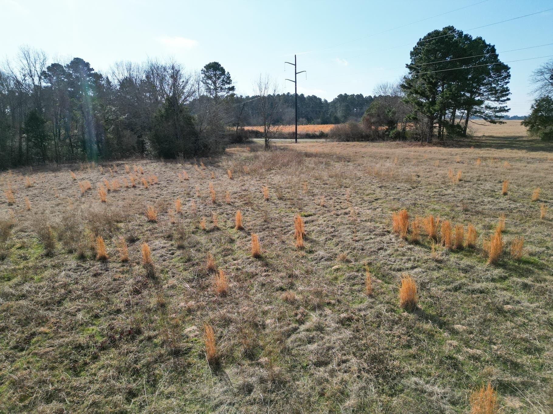 7.75 acres in Harrison County - photo 10