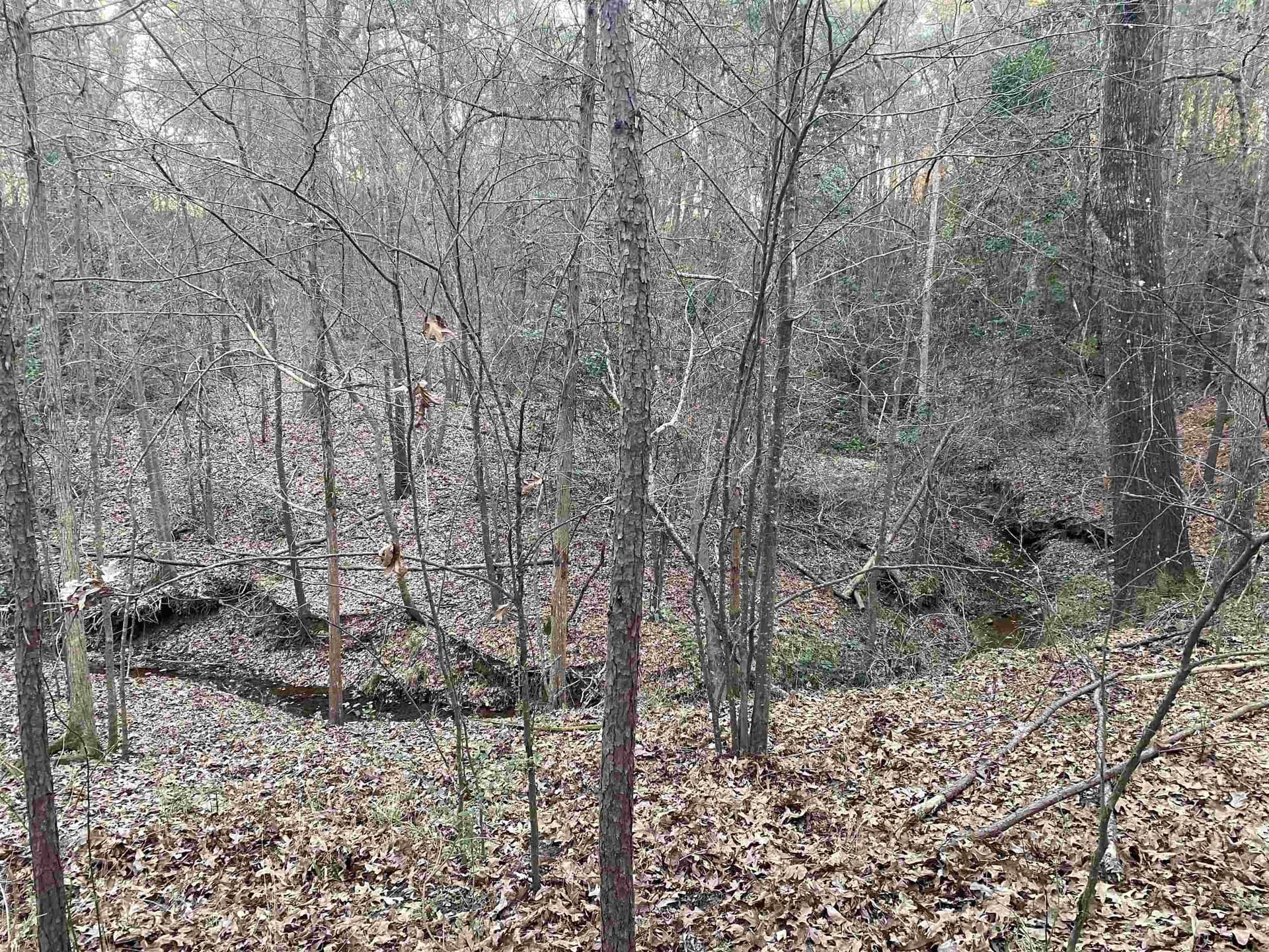 7.75 acres in Harrison County - photo 20