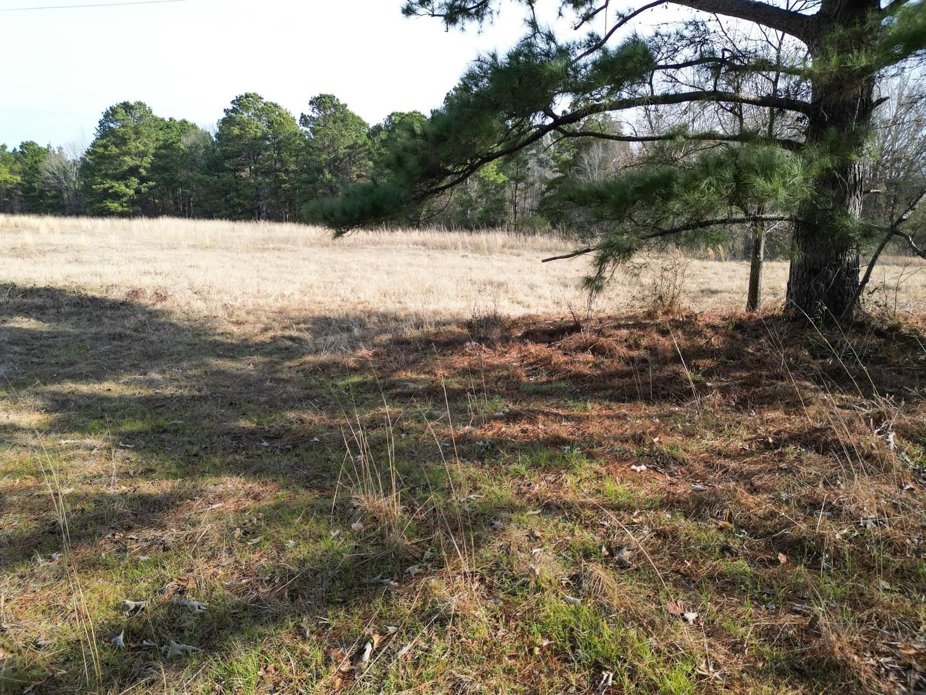 7.75 acres in Harrison County - photo 13