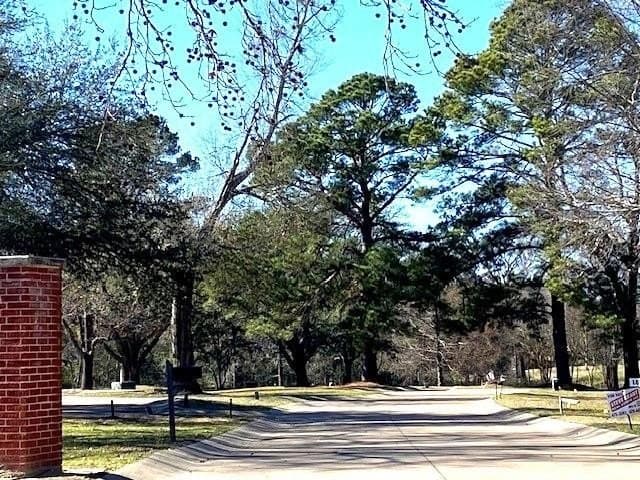 0.32 acres in Henderson County - photo 2