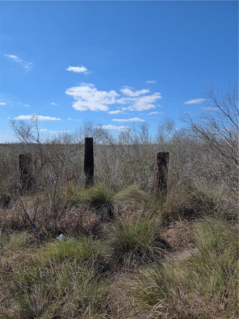 13.15 acres in Calhoun County - photo 2