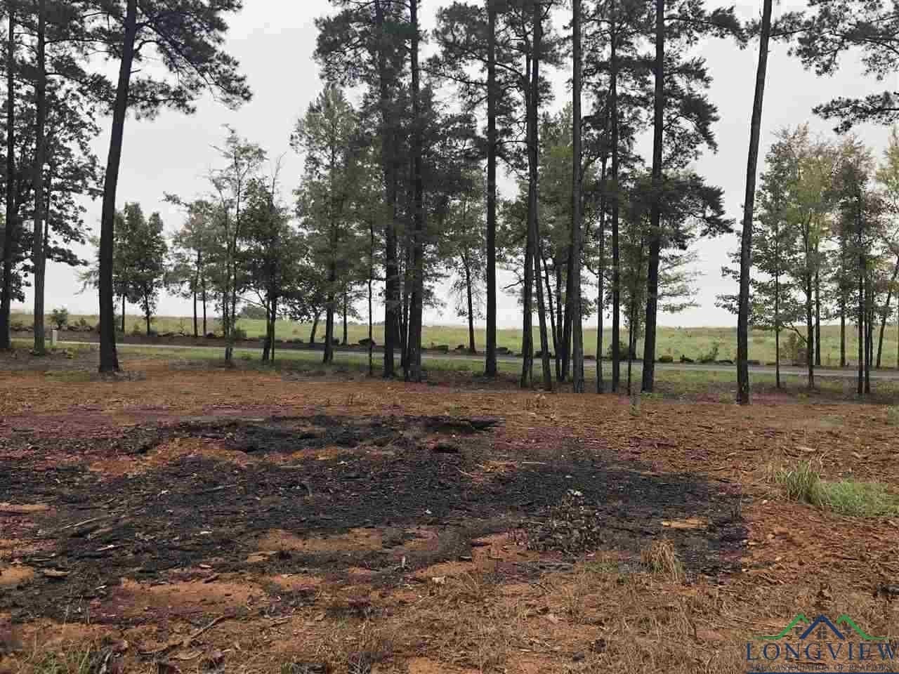 0.7 acres in Texas County - photo 4