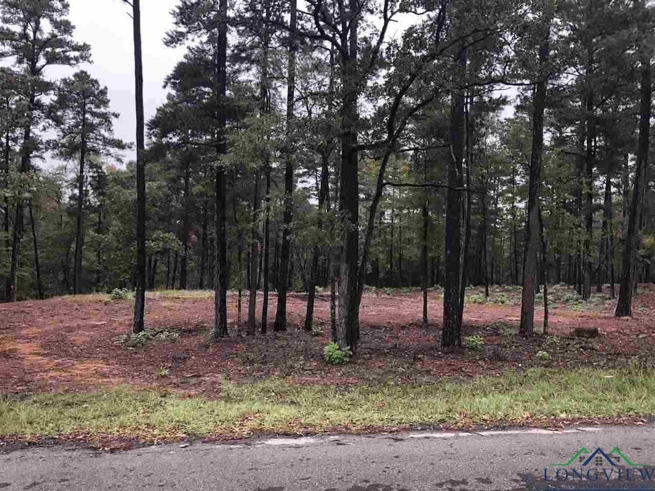 0.7 acres in Texas County - photo 2