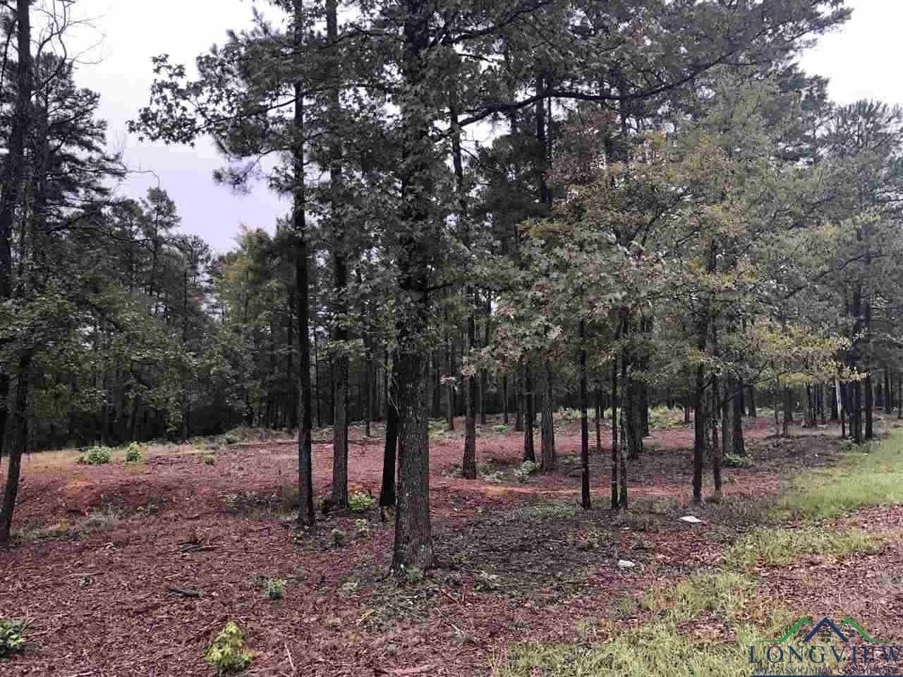 0.7 acres in Texas County - photo 3