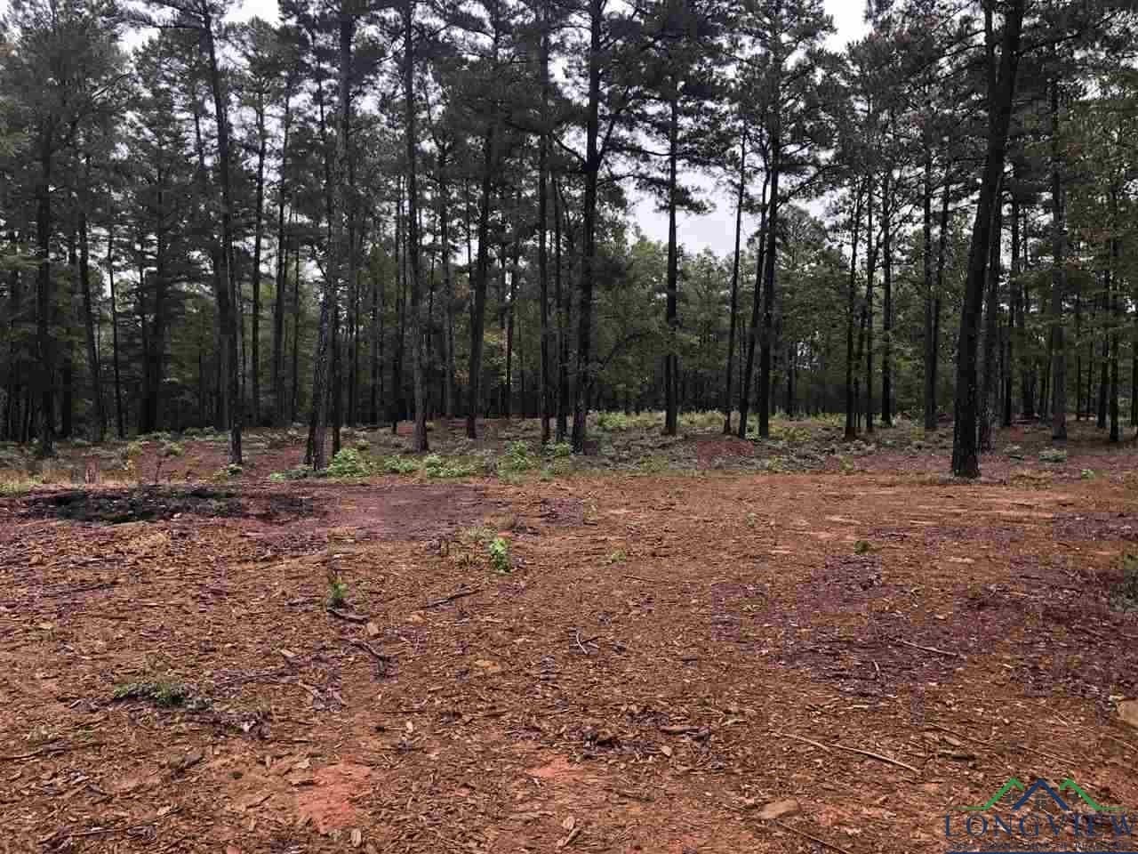 0.7 acres in Texas County - photo 5