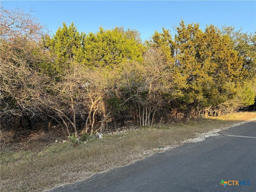 0.34 acres in Bell County - photo 3