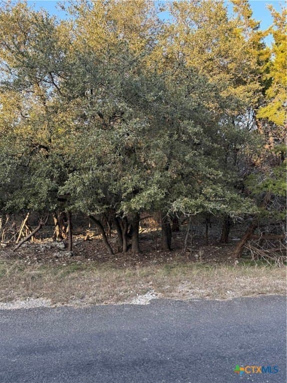 0.34 acres in Bell County - photo 5