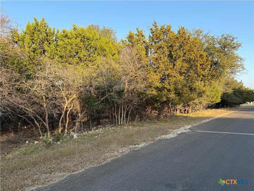 0.34 acres in Bell County - photo 4