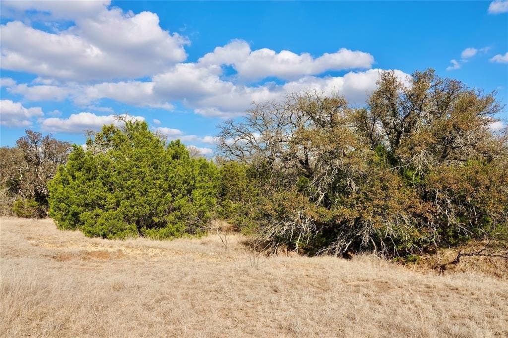 73.28 acres in Mills County - photo 21