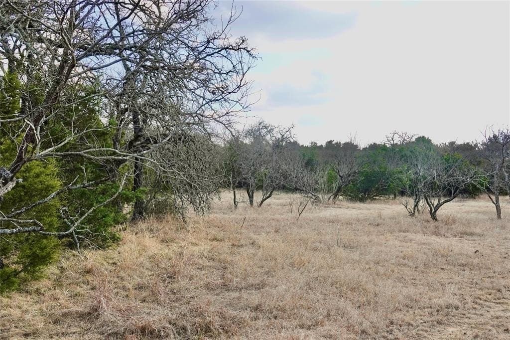 73.28 acres in Mills County - photo 13