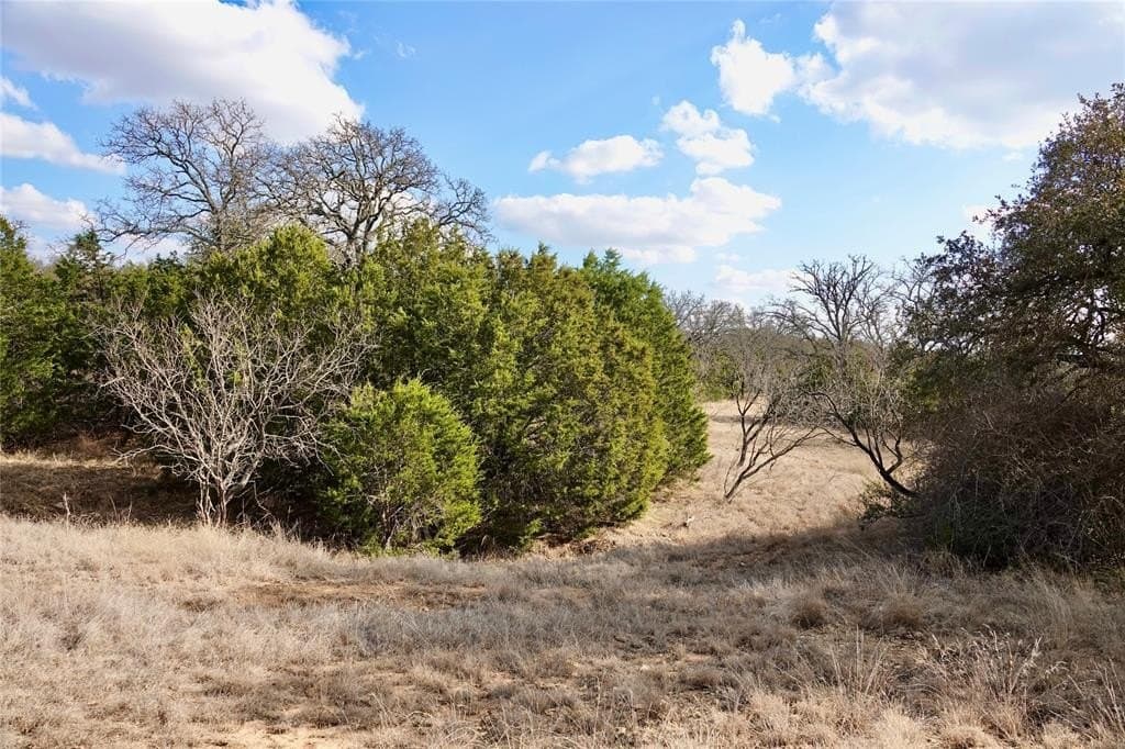 73.28 acres in Mills County - photo 19