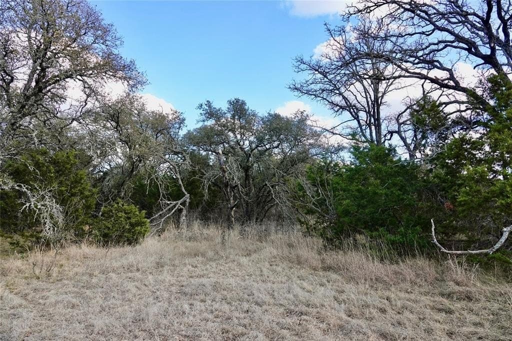 73.28 acres in Mills County - photo 14