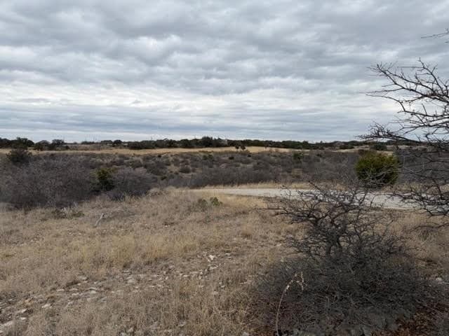 0.22 acres in Palo Pinto County - photo 6