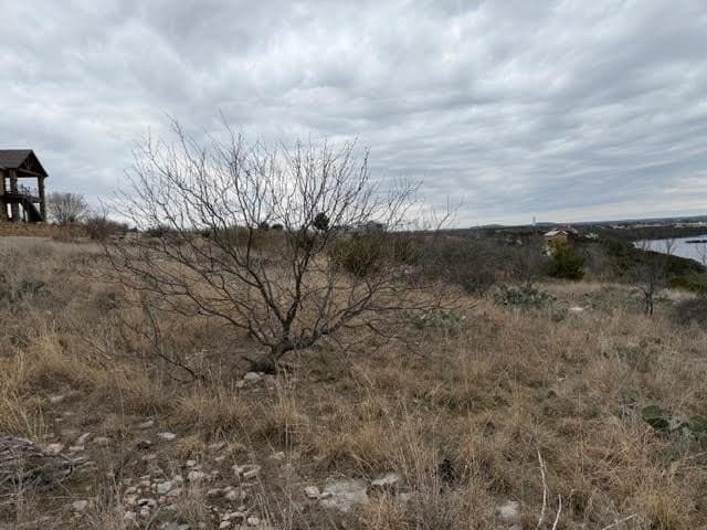 0.22 acres in Palo Pinto County - photo 5