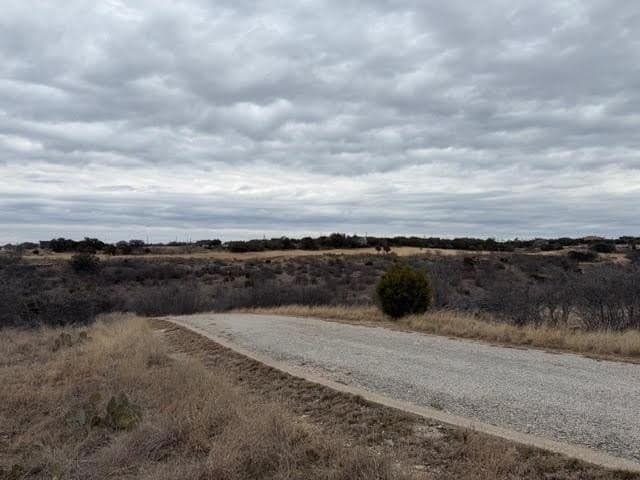 0.22 acres in Palo Pinto County - photo 2